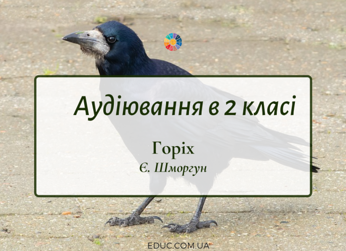 Аудіювання в 2 класі: "Горіх" Є.Шморгун