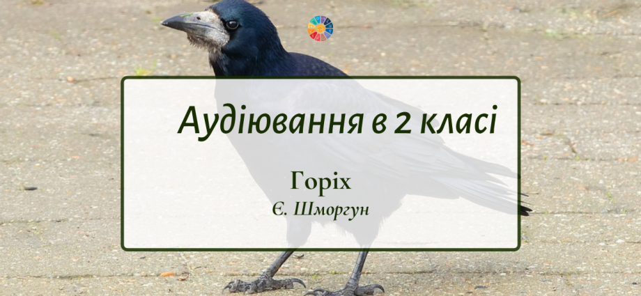 Аудіювання в 2 класі: "Горіх" Є.Шморгун