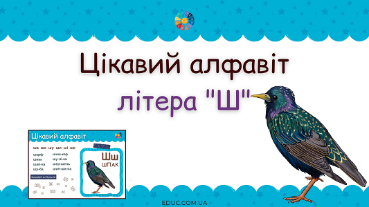 Цікавий алфавіт: літера "Ш"