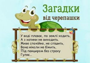 Морські загадки від черепашки для дітей (з відповідями)