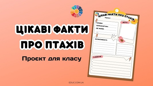 Цікаві факти про птахів проєкт для класу до Всесвітнього дня птахів - безкоштовно на EDUC.com.ua