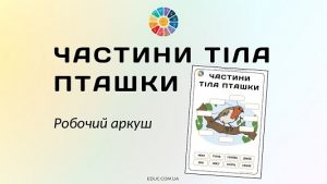 Частини тіла пташки робочий аркуш для друку - безкоштовно на EDUC.com.ua